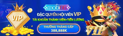 Khuyến mãi